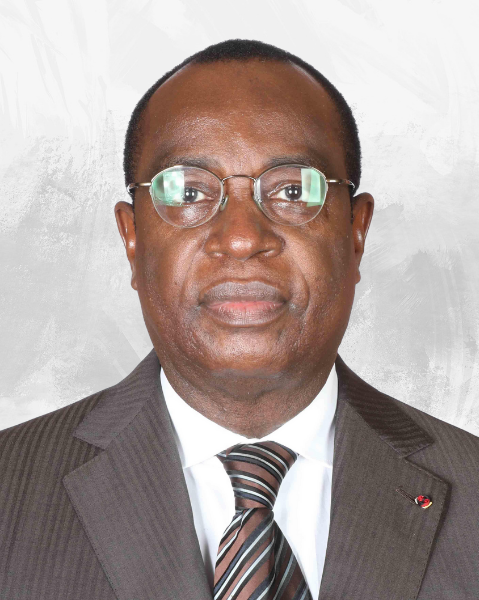 Roger Rigobert ANDELY