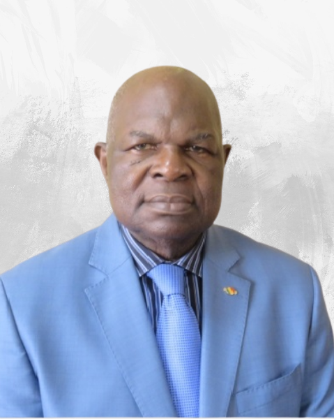 Alphonse MBOUDO-NESA